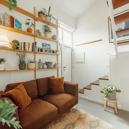 Modern By Hosty *